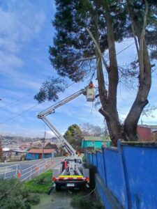 hidroelevadores de 10 metros